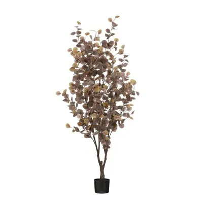 Eucalyptus í potti, 180cm – bronz