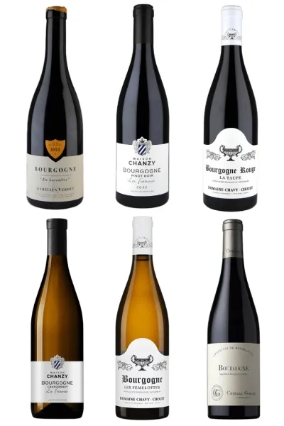 Inngangur að Búrgúndí / Rautt & Hvítt