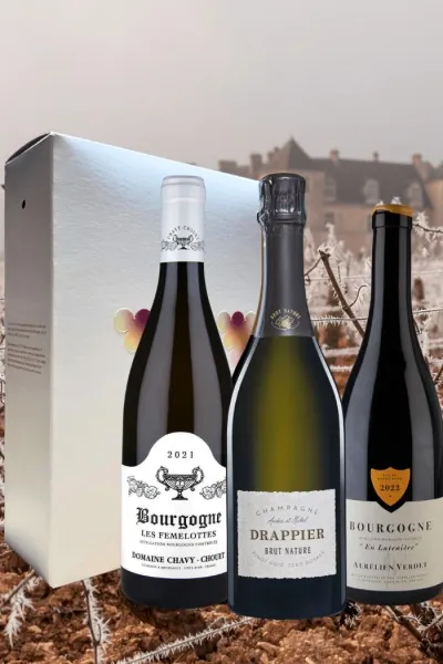 Santé 101 í gjafaöskju