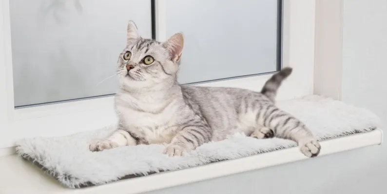 Harvey Hundamotta 90×28 cm