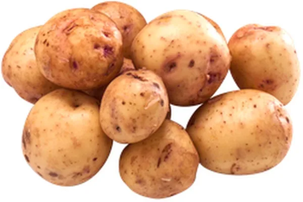 Kartöflur í lausu Solist