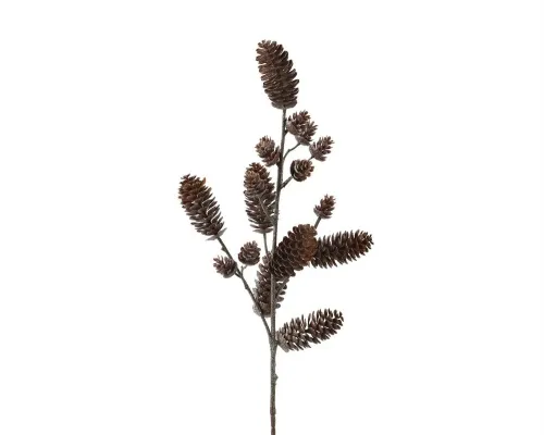 DECORIS - Grein Cone Glitter