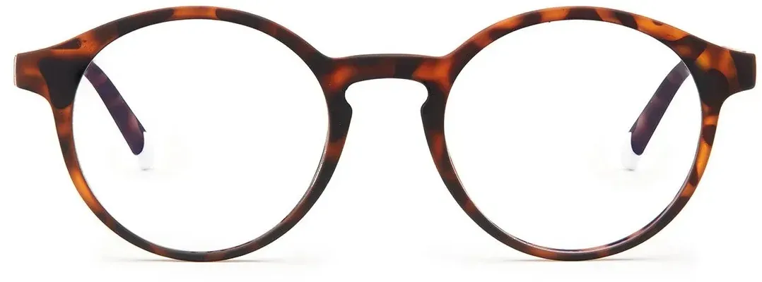 Barner Le Marais +3 skjágleraugu - Tortoise