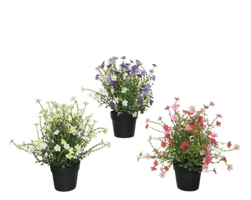 DECORIS - Gerviblóm Pottablóm