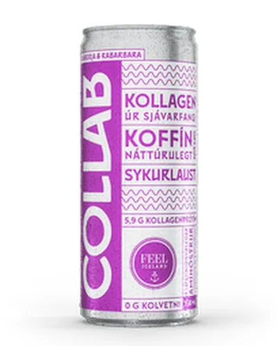 COLLAB Bláberja Rabarbara 6x330ml