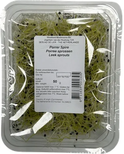 Global Green blaðlauksspírur erl.