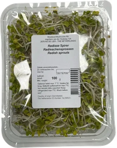 Global Green radísuspírur erl.