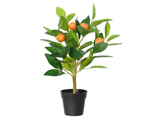 DECORIS - Appelsínutré