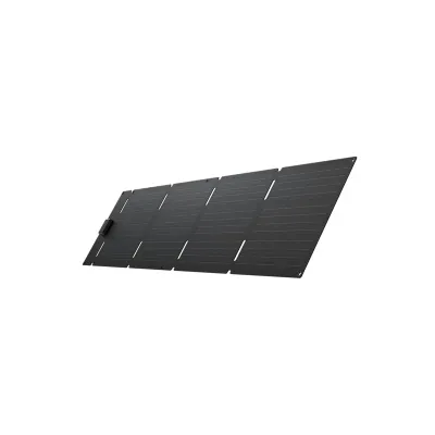 EcoFlow 60W Portable Solar Panel