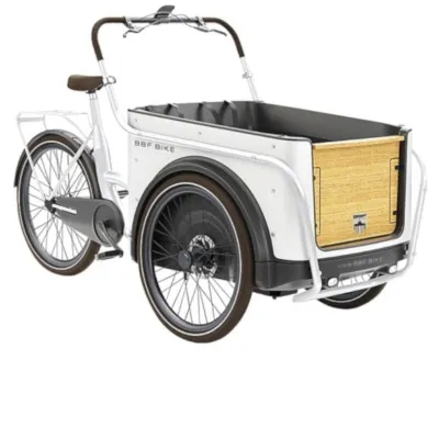 eCargorider 3.3 - Hvítt