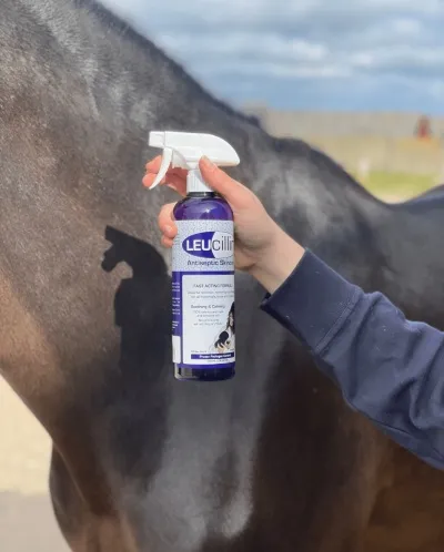 Sótthreinsandi sprey fyrir hesta