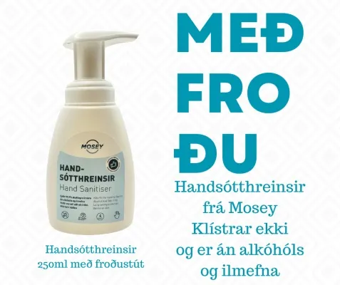 Handsótthreinsir 250ml m/ froðu pumpu