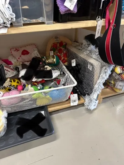 Bleik gummí snudda með bjöllu