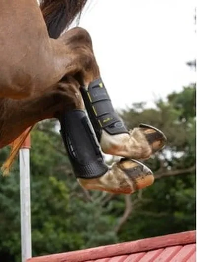 Lemieux - MIMsafe XC Boot Hind - Black - Medium