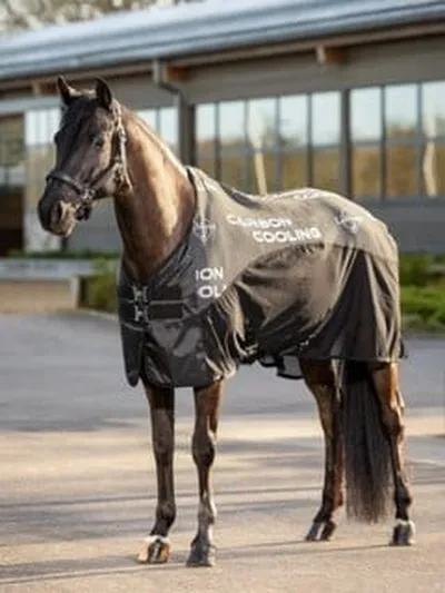 Lemieux - Carbon Cooler Rug - Black - 6'9"