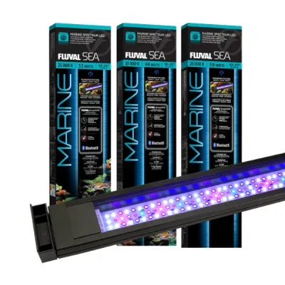 Fluval Marine Spectrum LED – 3 stærðir