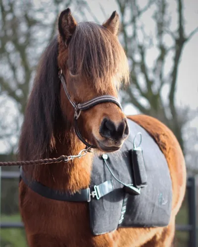 Infrarauð ábreiða