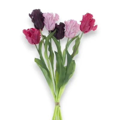 Túlípanabúnt Parrot 51cm – bleikt/fjólublátt