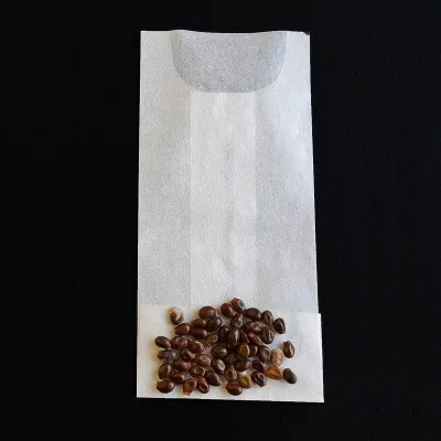 Saxifraga stellaris * – Stjörnusteinbrjótur *