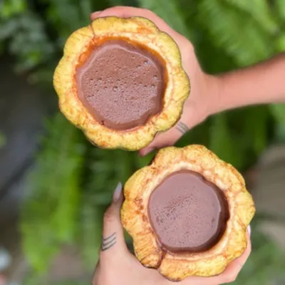 DALILEO - Ceremonial Kakó #20 bollar - 400 g