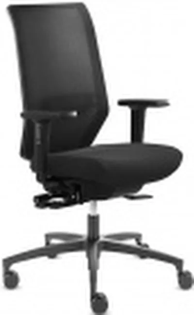 DAUPHIN - Shape Mesh