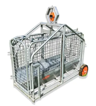 Fjárvog m. einfaldri tölvu