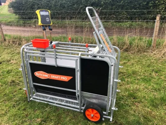 Fjárvog 3ja átta án tölvu.