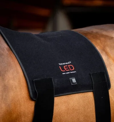 Horseware LED Red Light Pad