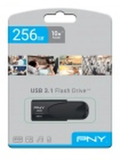Minnislykill PNY 256GB 3.1