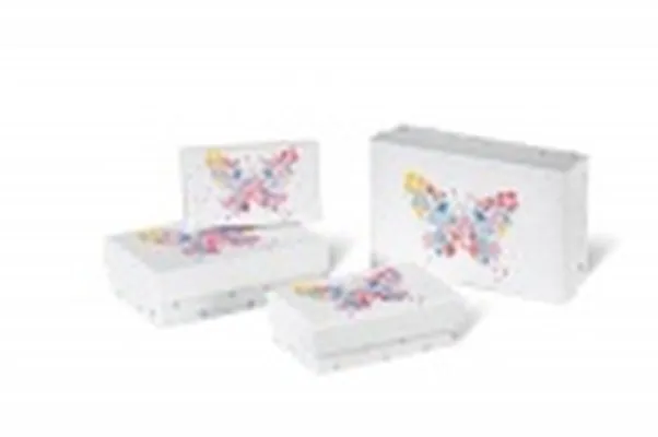 Gjafakassar /4S fiðrildi blóm