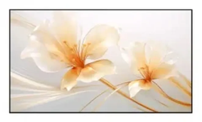 XGIMI 100" UST ALR Screen – Fullkomin 100" Heimabíóupplifun