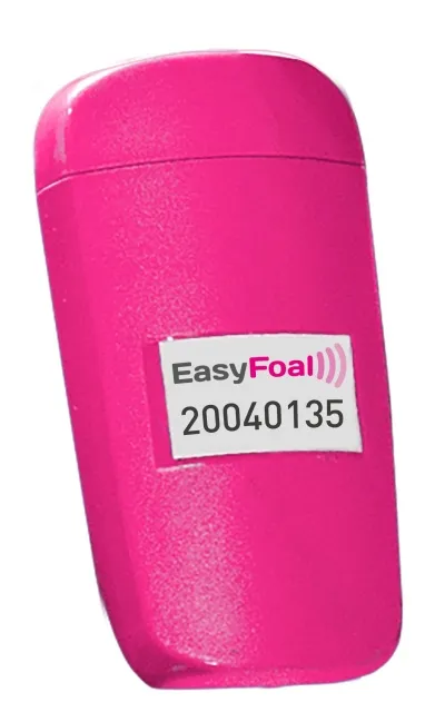 Auka skynjari fyrir folaldavöktun