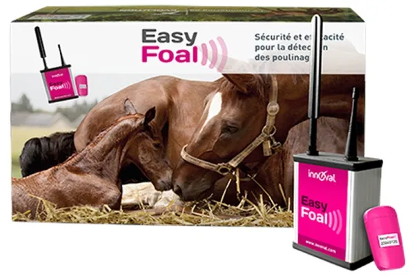 Folaldavöktun fyrir hryssur – einn skynjari / ein meri