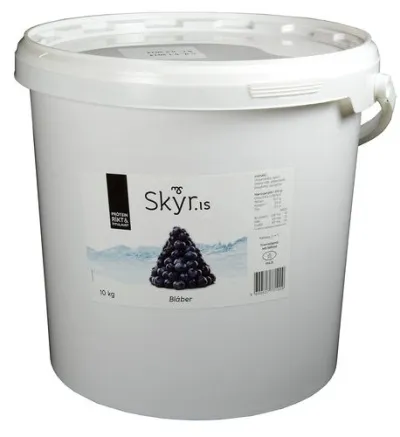 MS Skyr.is bláberja 10ltr