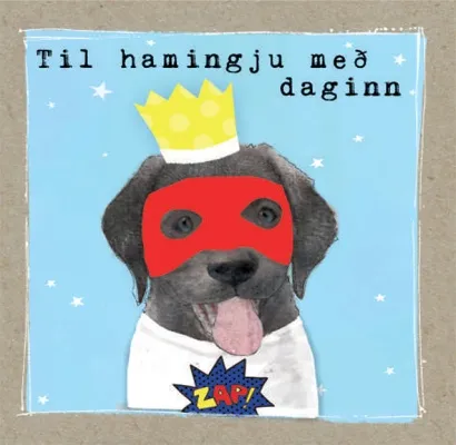 HAMMOND-Mini Gjafak 80x80mm.Superher(10)