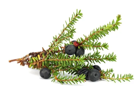 Frosin krækiber 3,5kg