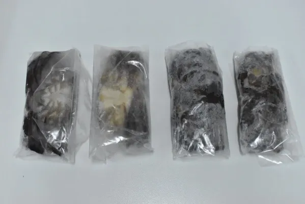 Linskelskrabbi Jumbo - Mudcrab