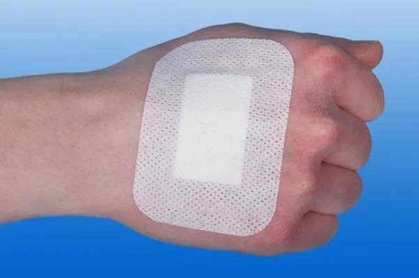 Grisjuplástur.m/púða 15×10