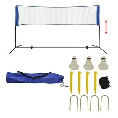 vidaXL Badminton Netasett með Flugum 300x155 cm