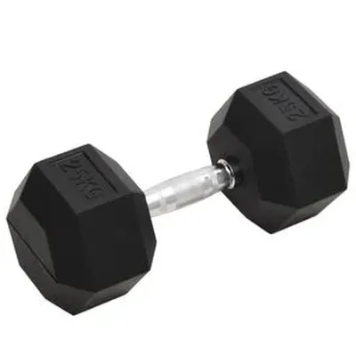 vidaXL Handlóð 25 kg Steypujárn