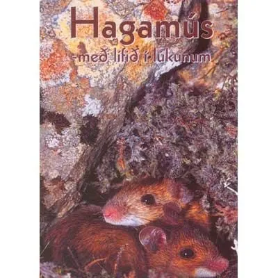 Hagamús / Woodmouse Life on the Run / DVD