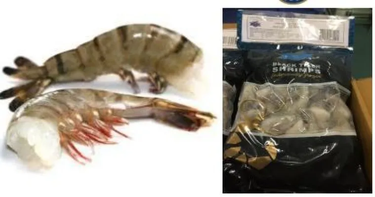 Tígrisrækja (tail on16/20) 700gr