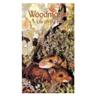 Wood mouse - Life on the Run / DVD