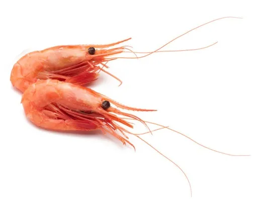 Rækjur Soðnar heilar í skel Íslenskar 50/70