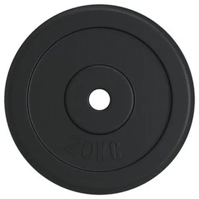 vidaXL Þyngdarplata 20 kg Steypujárn