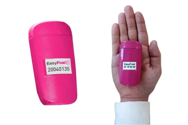 Auka skynjari fyrir folaldavöktun