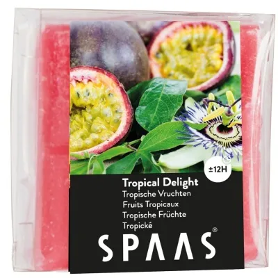 Ilmvax – Tropical Delight