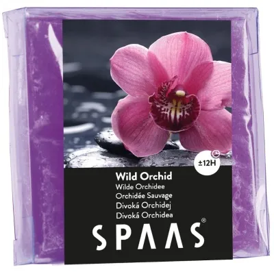 Ilmvax – Wild Orchid